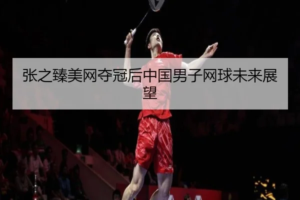 张之臻美网夺冠后中国男子网球未来展望 - xingkong